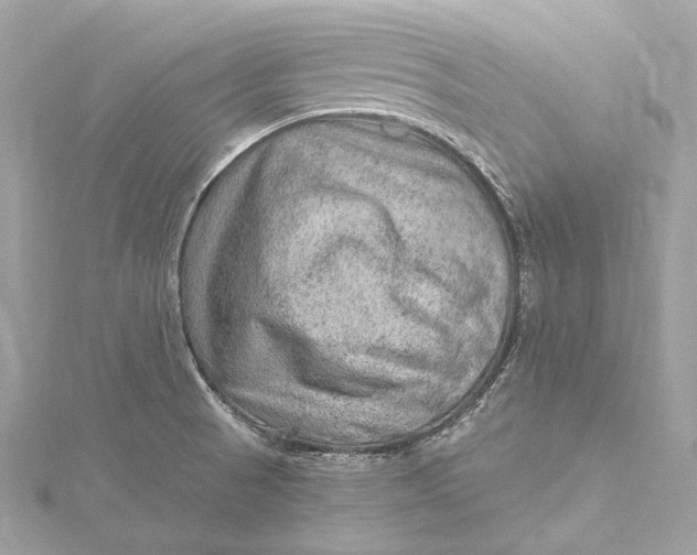 X0000115651521200912011512