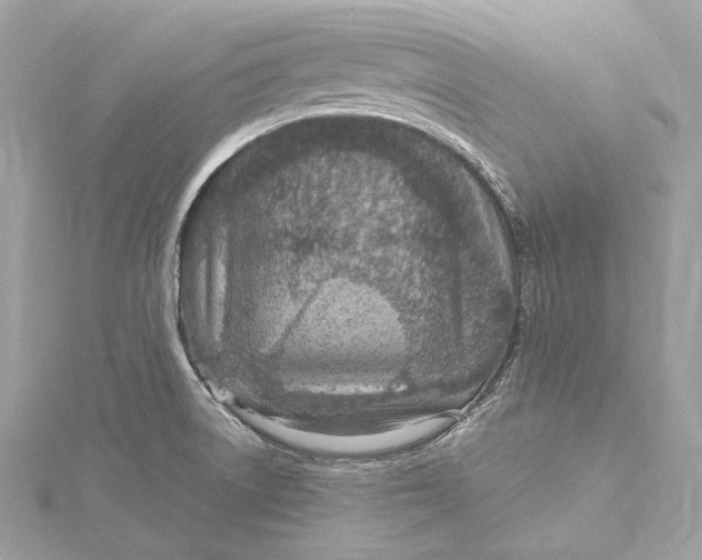 X0000115651522200912011512