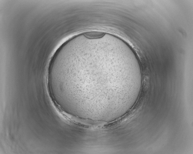 X0000115651523200912011512