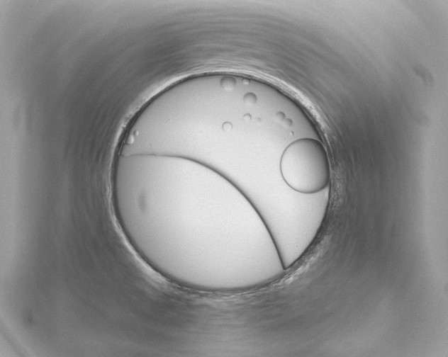 X0000115651525200912011512