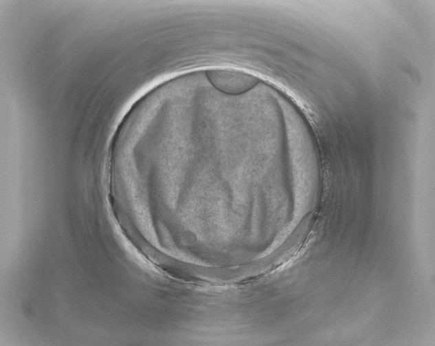 X0000115651526200912011512