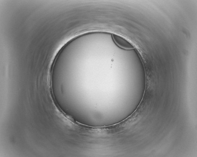 X0000115651527200912011512