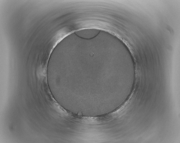 X0000115651529200912011512