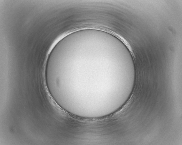 X0000115651530200912011512