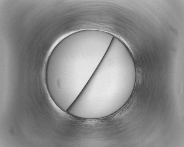 X0000115651531200912011512