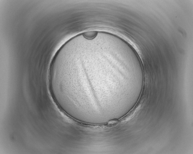 X0000115651533200912011512