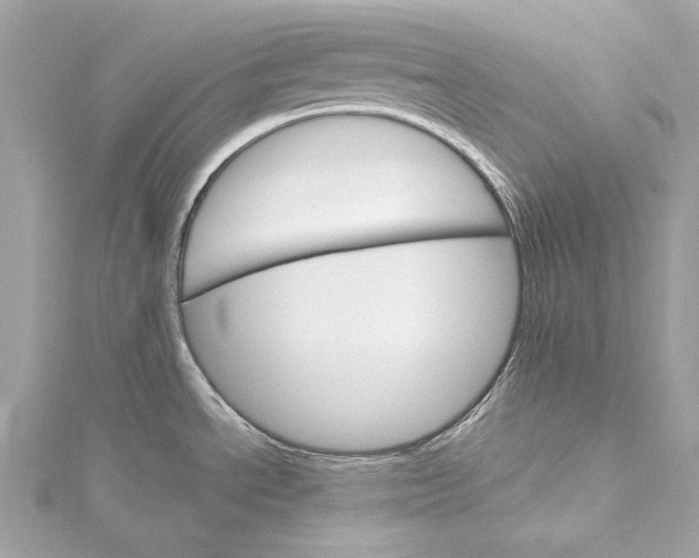 X0000115651534200912011512