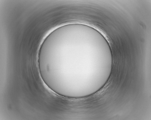 X0000115651535200912011512