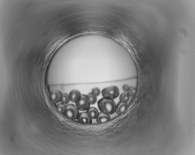 X0000115650001200912081134