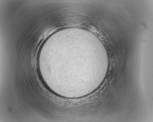 X0000115650002200912081134