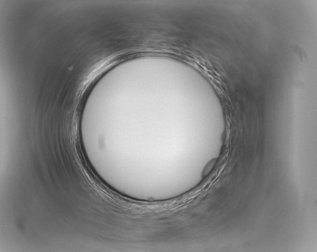 X0000115650005200912081134