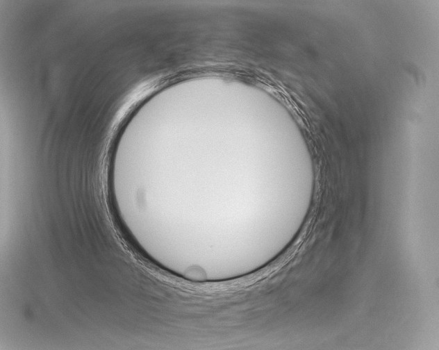 X0000115650006200912081134