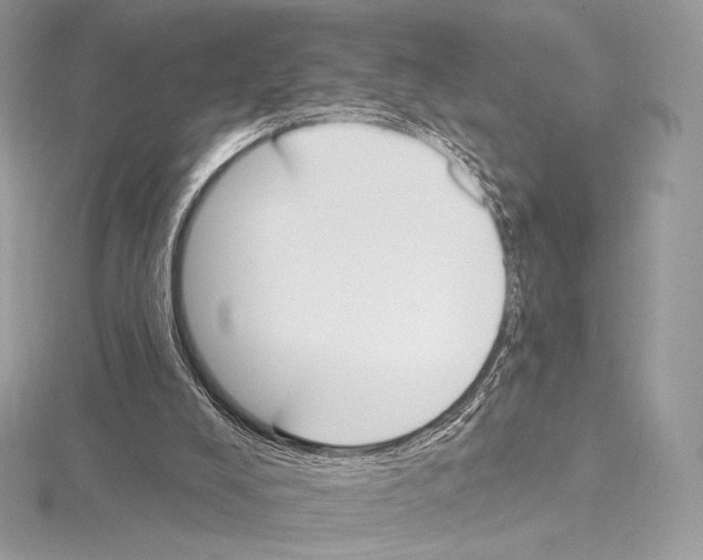 X0000115650008200912081134