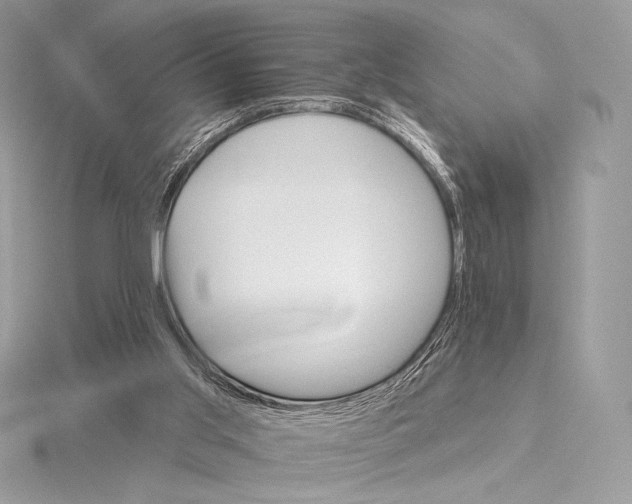 X0000115650013200912081134