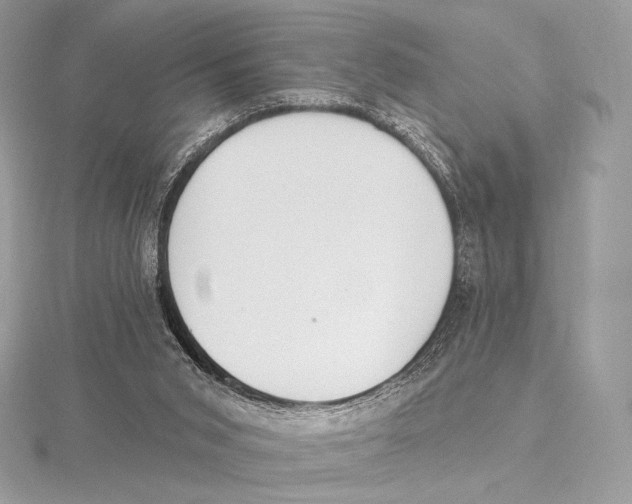 X0000115650015200912081134