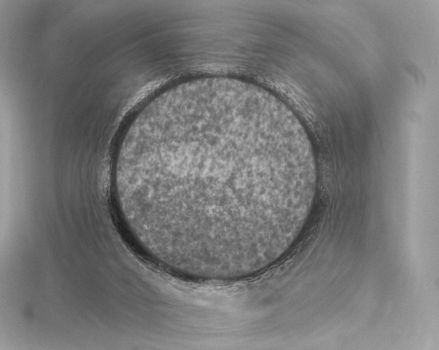 X0000115650016200912081134