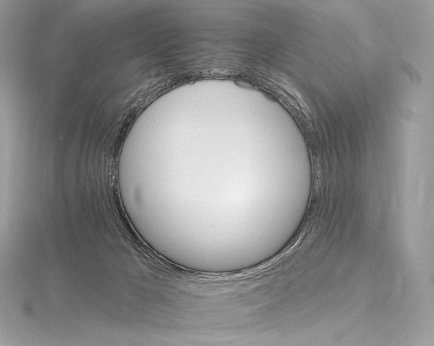 X0000115650029200912081134