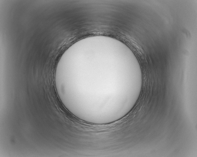 X0000115650031200912081134
