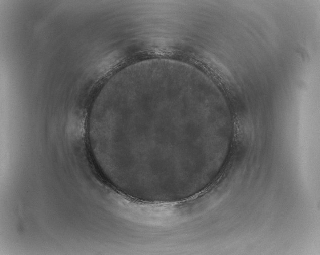 X0000115650032200912081134