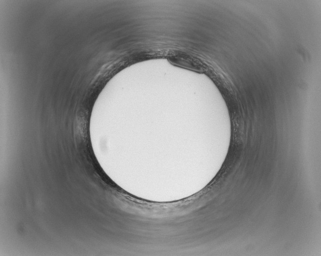 X0000115650035200912081134