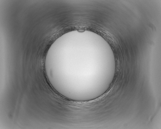 X0000115650037200912081134
