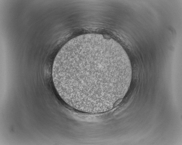 X0000115650040200912081134