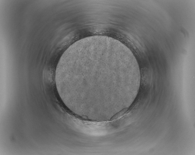X0000115650044200912081134