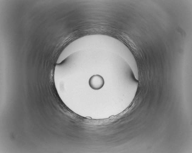 X0000115650045200912081134
