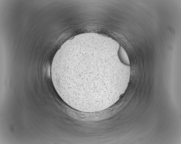 X0000115650046200912081134