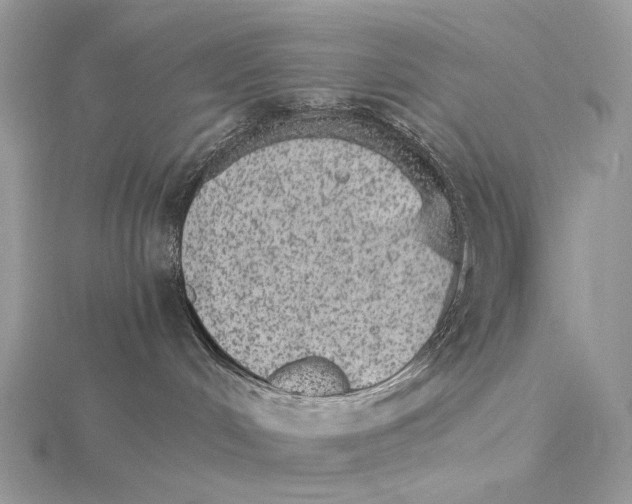 X0000115650048200912081134