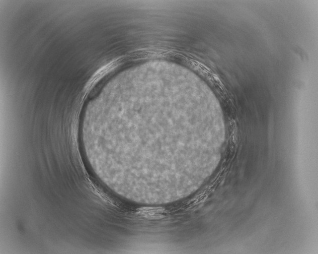 X0000115650051200912081133