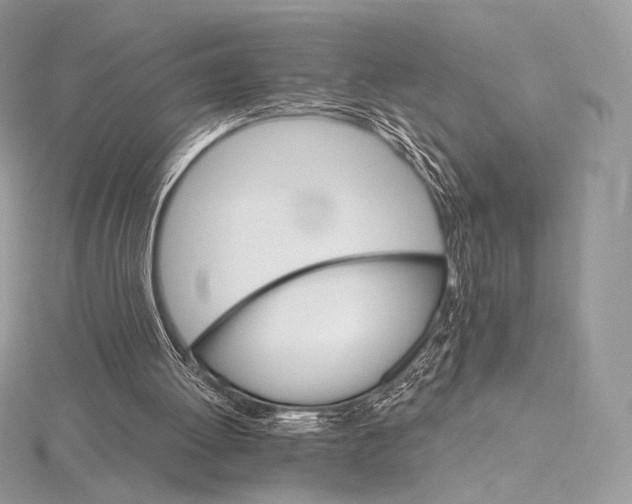 X0000115650052200912081133