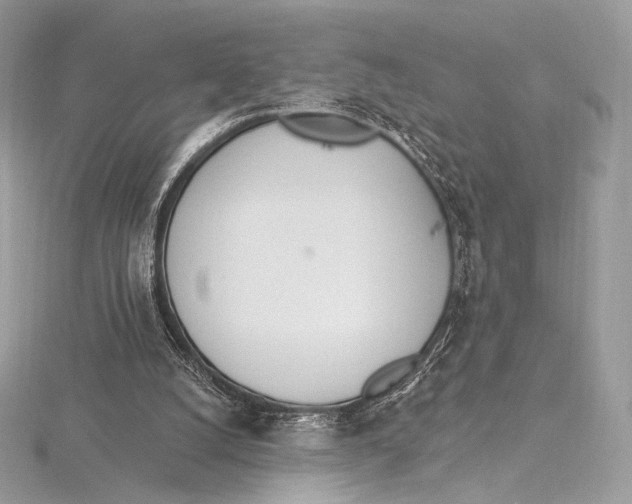 X0000115650056200912081133