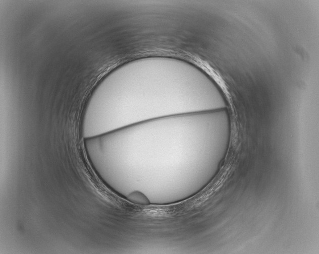 X0000115650057200912081133