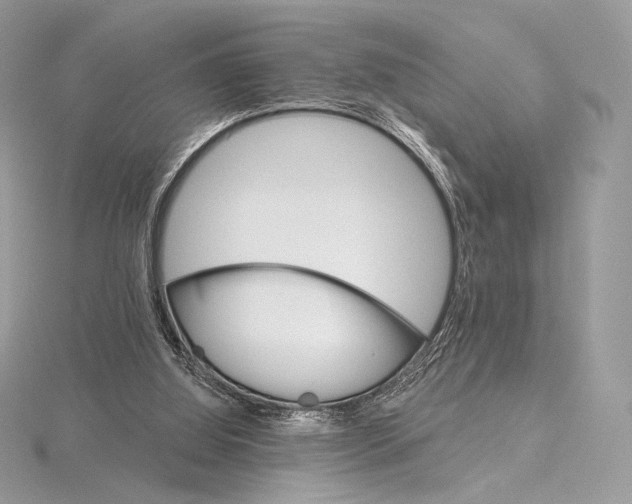 X0000115650060200912081133