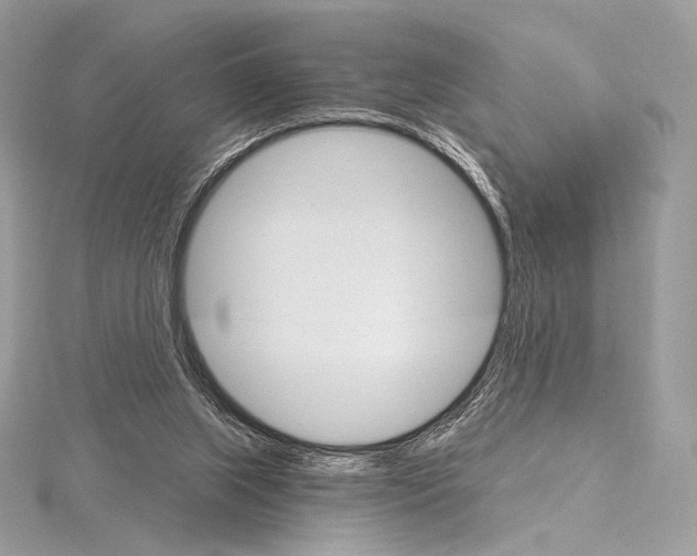X0000115650063200912081133