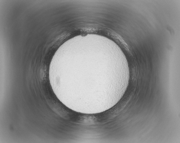 X0000115650073200912081133
