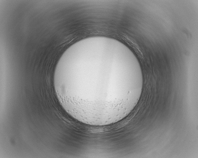 X0000115650075200912081133