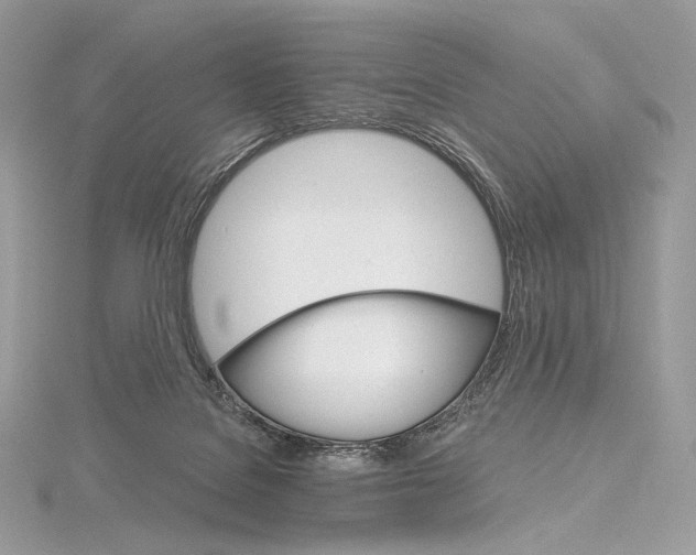 X0000115650076200912081133