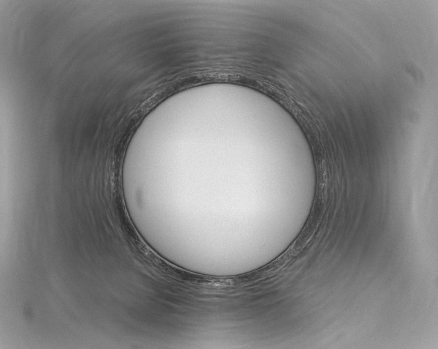 X0000115650080200912081133