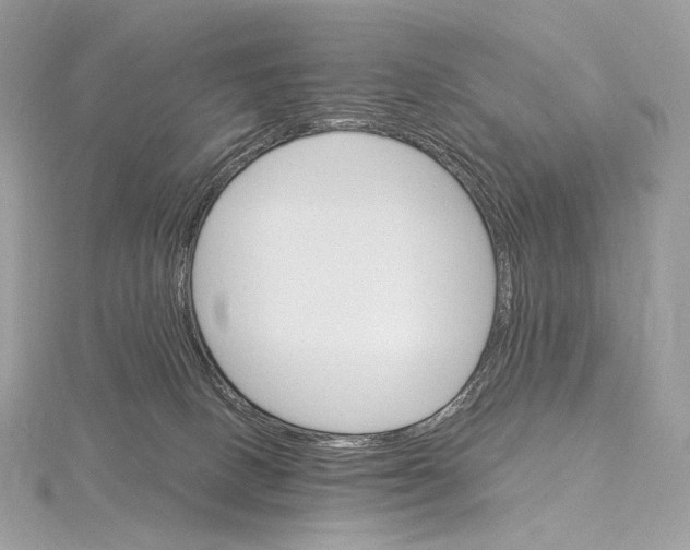 X0000115650082200912081133