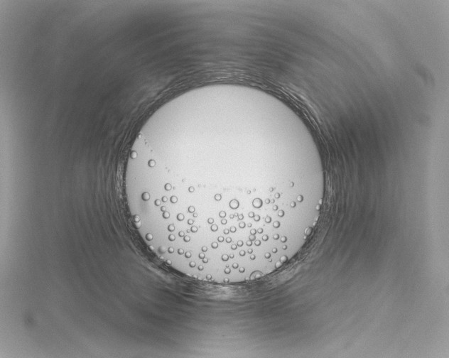 X0000115650083200912081133