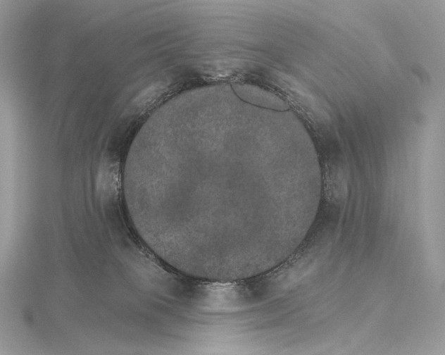 X0000115650085200912081133