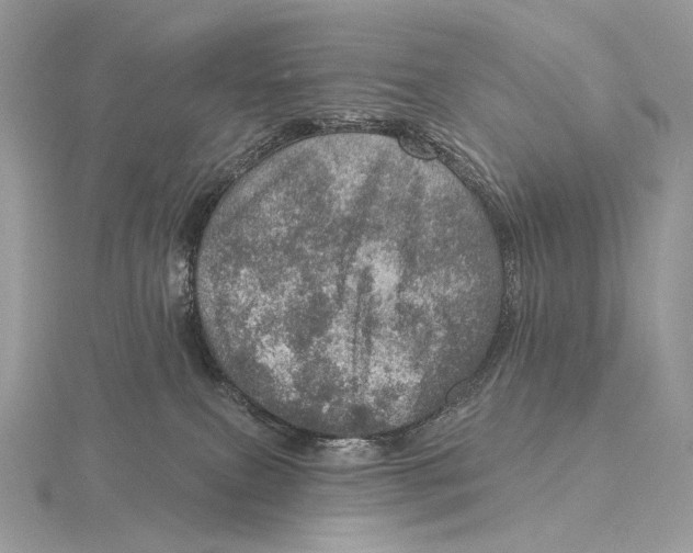 X0000115650087200912081134