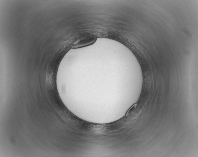 X0000115650088200912081134