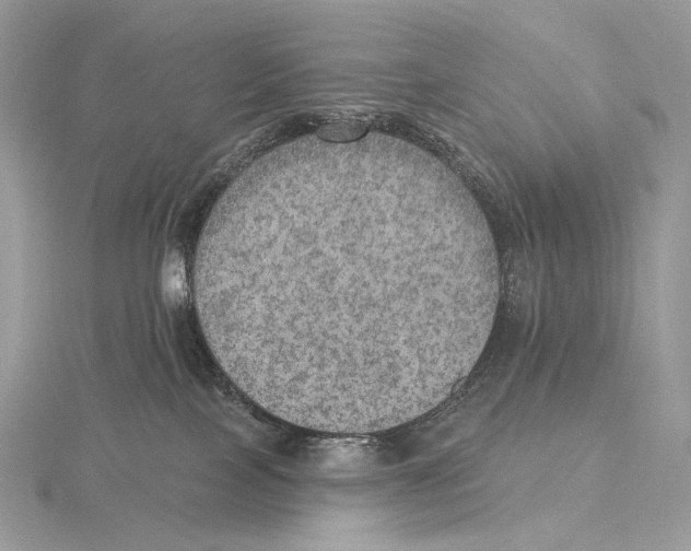X0000115650089200912081134