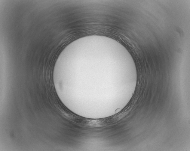 X0000115650091200912081134
