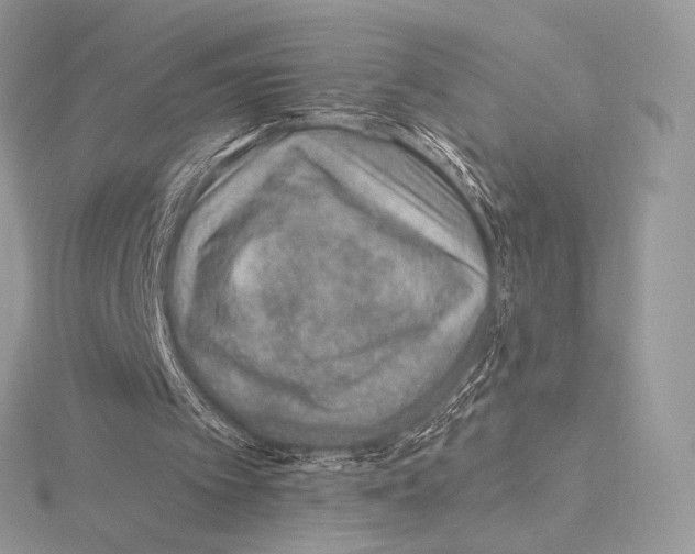 X0000115650097200912081133