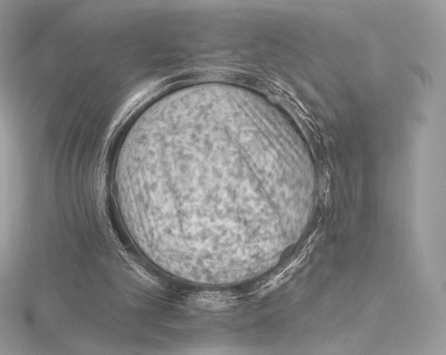 X0000115650101200912081133