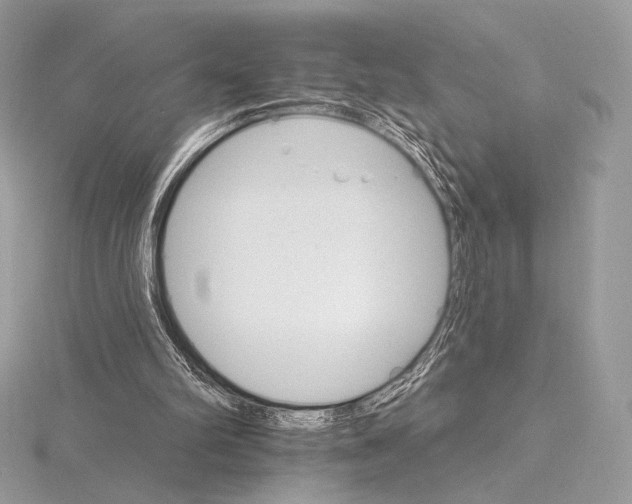 X0000115650102200912081133